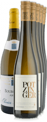 Sechs Flaschen Morillon Selection Paket Weißwein, elegant in einem leichten Bogen angeordnet. Inklusive kostenlosem Versand.