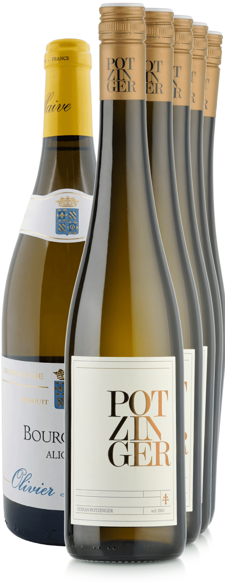 Sechs Flaschen Morillon Selection Paket Weißwein, elegant in einem leichten Bogen angeordnet. Inklusive kostenlosem Versand.