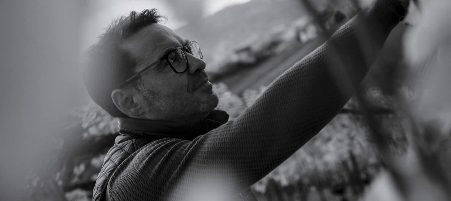 Schwarz-Weiß-Foto eines Mannes mit Brille und Jacke, der zwischen unscharfen Blättern in die Höhe streckt - möglicherweise in einem Weinberg, in dem Potzinger Weine nachhaltig produziert werden, wie ihr Gütesiegel zeigt.